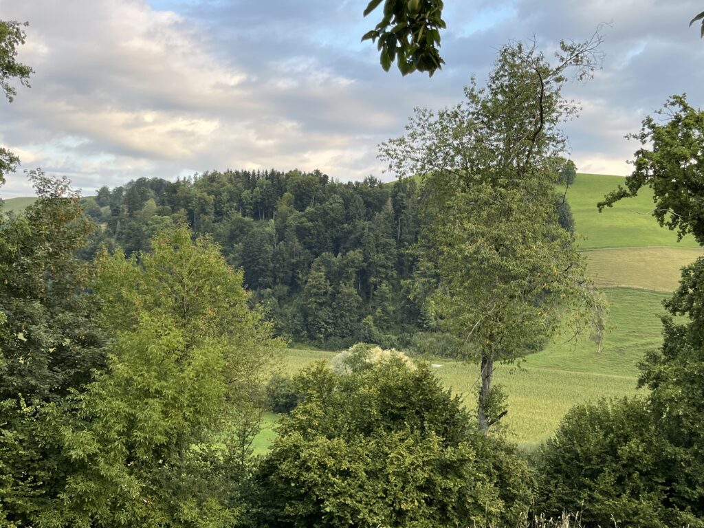 img 2523
